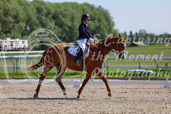 2025 - Dressage Festival - Saturday July 5th - 04801