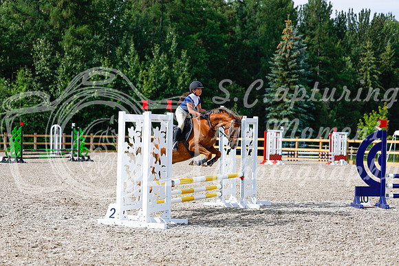 2025 - Haylee - Picco Horse Show - Thursday July 24th 01306