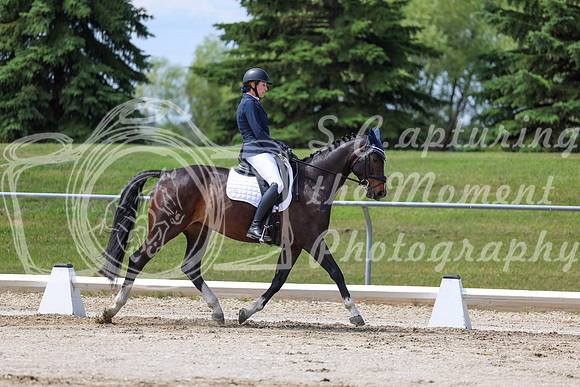 2025 - Dressage Festival - Saturday July 5th - 07557