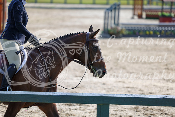 02263 - Shea - 2026 Rocky Mountain Classic I - Wednesday August 5th