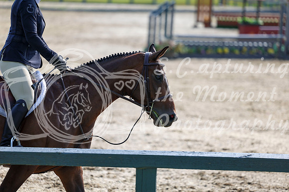 02264 - Shea - 2026 Rocky Mountain Classic I - Wednesday August 5th
