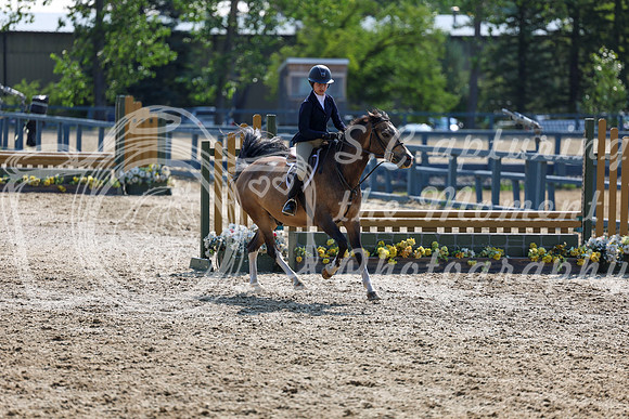 03142 - Shea - 2026 Rocky Mountain Classic I - Wednesday August 5th