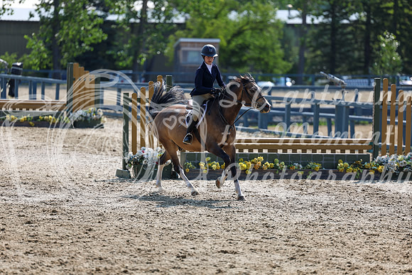 03143 - Shea - 2026 Rocky Mountain Classic I - Wednesday August 5th