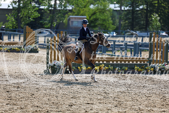 03144 - Shea - 2026 Rocky Mountain Classic I - Wednesday August 5th