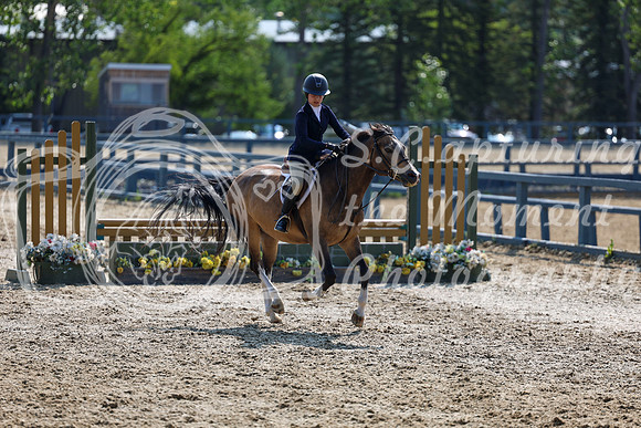 03146 - Shea - 2026 Rocky Mountain Classic I - Wednesday August 5th