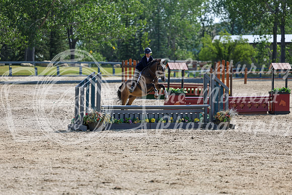03164 - Shea - 2026 Rocky Mountain Classic I - Wednesday August 5th