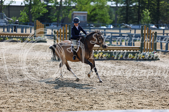 03172 - Shea - 2026 Rocky Mountain Classic I - Wednesday August 5th