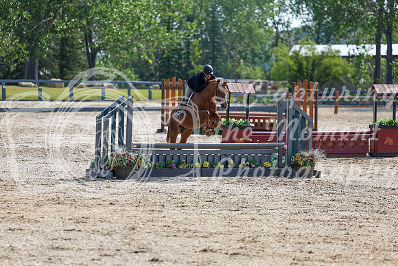 02631 - Shea - 2026 Rocky Mountain Classic I - Wednesday August 5th