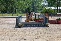 03000 - Shea - 2026 Rocky Mountain Classic I - Wednesday August 5th