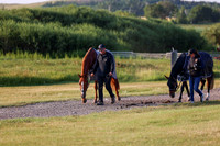 00011 - Shea - 2026 Rocky Mountain Classic I - Wednesday August 5th