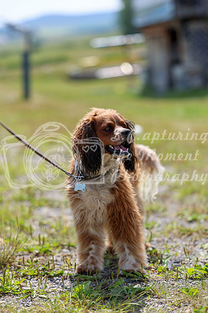 05823 - Shea - 2026 Rocky Mountain Classic I - Wednesday August 5th