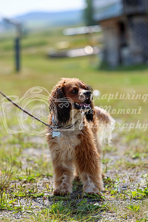 05825 - Shea - 2026 Rocky Mountain Classic I - Wednesday August 5th