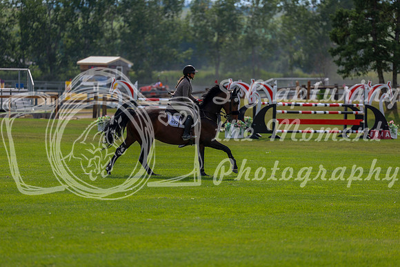 07339 - Shea - 2026 Rocky Mountain Classic I - Wednesday August 5th