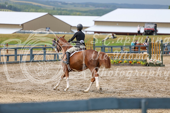 08179 - Shea - 2026 Rocky Mountain Classic I - Thursday August 6th