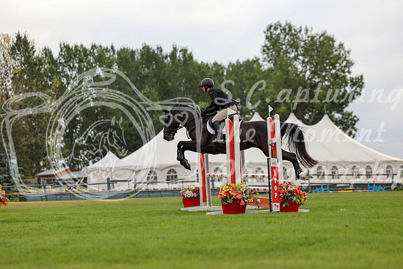 03698 - Mara - 2026 Rocky Mountain Classic I - Thursday August 6th