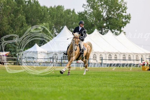 07230 - Shea - 2026 Rocky Mountain Classic I - Saturday August 8th