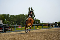 08973 - Alina - 2026 Rocky Mountain Classic I - Saturday August 8th