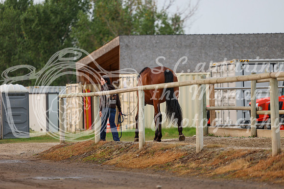 00344 - Shea - 2026 Rocky Mountain Classic I - Saturday August 8th