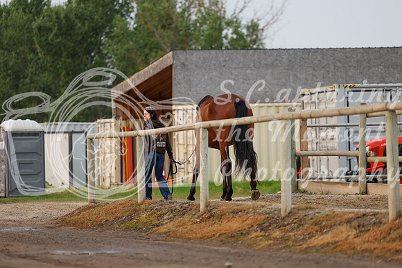 00346 - Shea - 2026 Rocky Mountain Classic I - Saturday August 8th