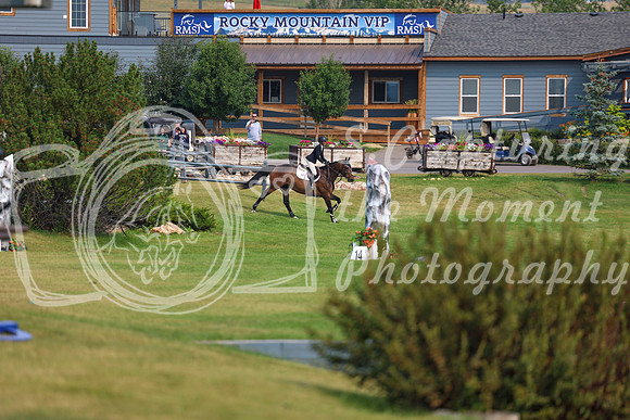 04649 - Shea - 2026 Rocky Mountain Classic I - Sunday August 9th