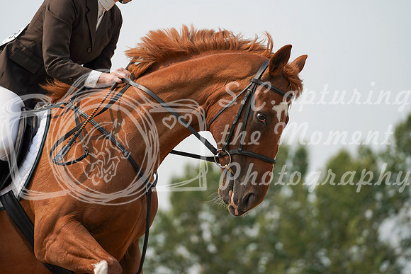 08971 - Alina - 2026 Rocky Mountain Classic I - Sunday August 9th