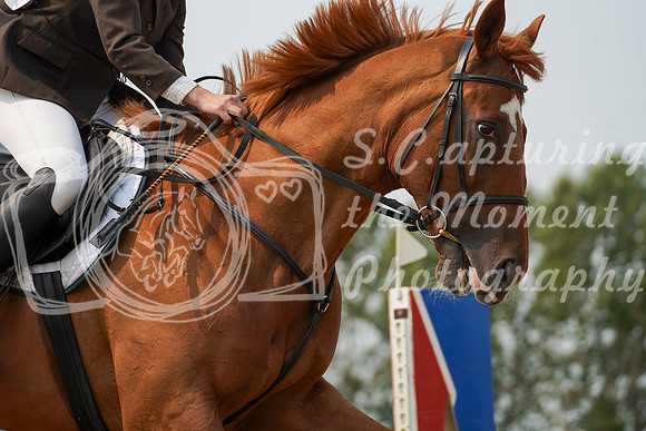 08973 - Alina - 2026 Rocky Mountain Classic I - Sunday August 9th