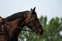 08399 - Alina - 2026 Rocky Mountain Classic I - Sunday August 9th