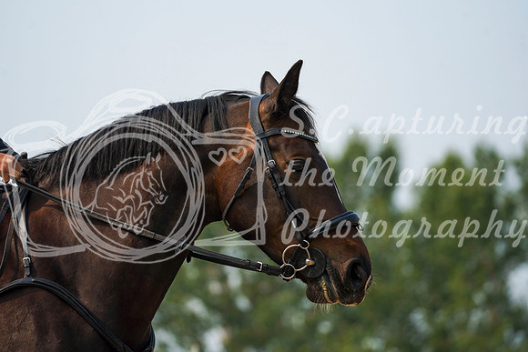 08399 - Alina - 2026 Rocky Mountain Classic I - Sunday August 9th