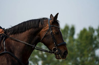 08400 - Alina - 2026 Rocky Mountain Classic I - Sunday August 9th