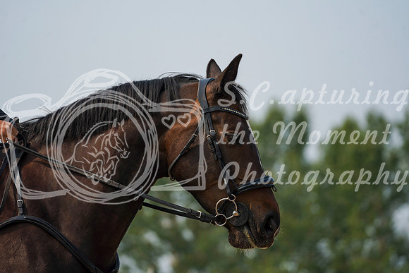 08400 - Alina - 2026 Rocky Mountain Classic I - Sunday August 9th
