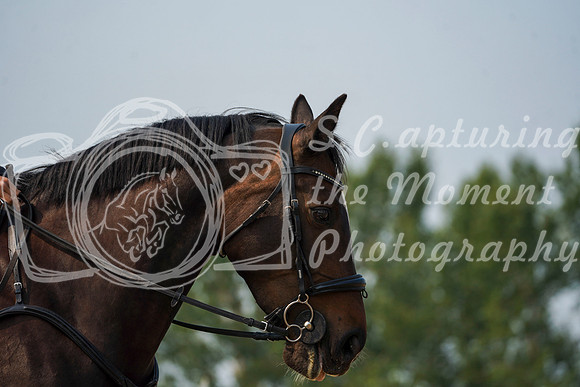08401 - Alina - 2026 Rocky Mountain Classic I - Sunday August 9th