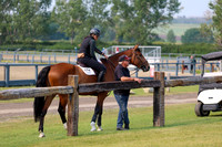 03951 - Shea - 2026 Rocky Mountain Classic I - Sunday August 9th