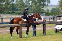 03953 - Shea - 2026 Rocky Mountain Classic I - Sunday August 9th