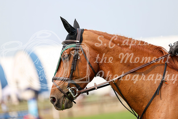 11115 - Shea - 2026 Rocky Mountain Classic I - Sunday August 9th