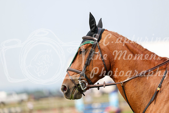 11117 - Shea - 2026 Rocky Mountain Classic I - Sunday August 9th