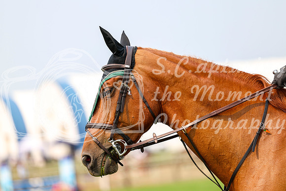 11116 - Shea - 2026 Rocky Mountain Classic I - Sunday August 9th