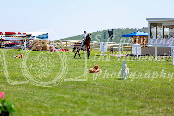 2025 - Shea - Teesdale - Thursday July 24th - 01626