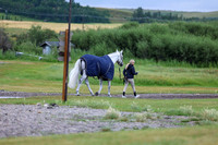 01213 - Shea - 2026 Rocky Mountain Classic II - Wednesday August 12th