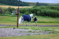 01214 - Shea - 2026 Rocky Mountain Classic II - Wednesday August 12th