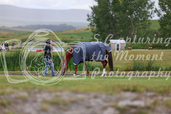 06943 - Shea - 2026 Rocky Mountain Classic II - Wednesday August 12th