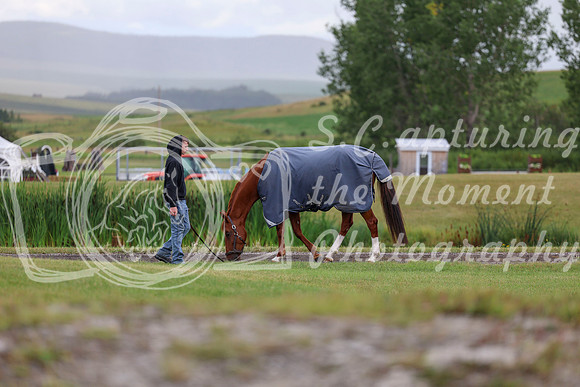 06946 - Shea - 2026 Rocky Mountain Classic II - Wednesday August 12th