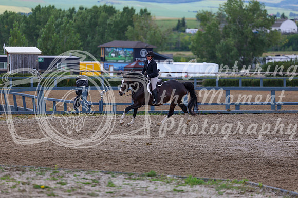 06967 - Shea - 2026 Rocky Mountain Classic II - Wednesday August 12th