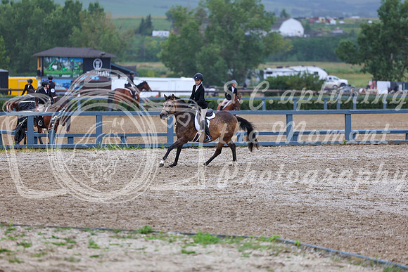 02382 - Shea - 2026 Rocky Mountain Classic II - Wednesday August 12th