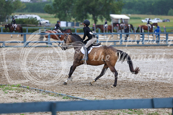 02395 - Shea - 2026 Rocky Mountain Classic II - Wednesday August 12th