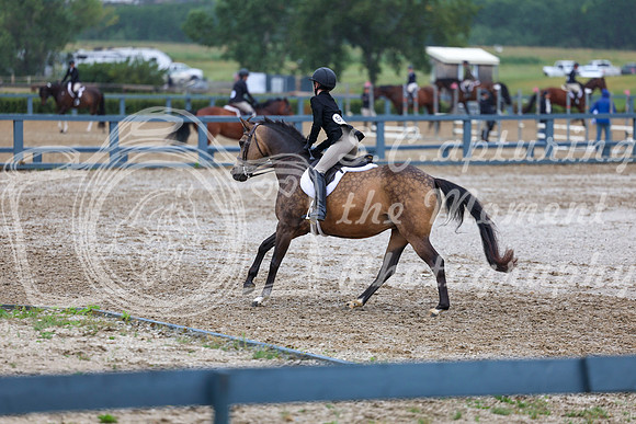 02396 - Shea - 2026 Rocky Mountain Classic II - Wednesday August 12th
