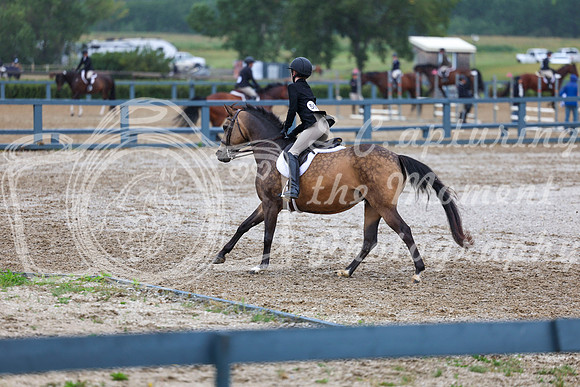 02397 - Shea - 2026 Rocky Mountain Classic II - Wednesday August 12th