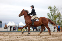 01233 - Shea - 2026 Rocky Mountain Classic II - Wednesday August 12th