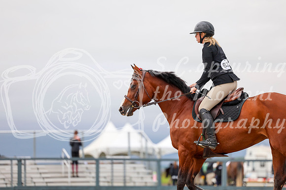 00413 - Shea - 2026 Rocky Mountain Classic II - Wednesday August 12th