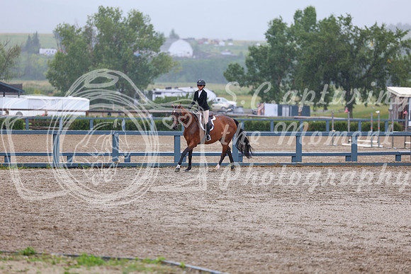 02875 - Shea - 2026 Rocky Mountain Classic II - Wednesday August 12th