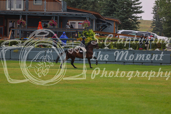 08345 - Shea - 2026 Rocky Mountain Classic II - Thursday August 13th